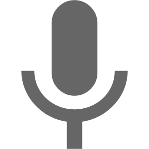 Audio System icon